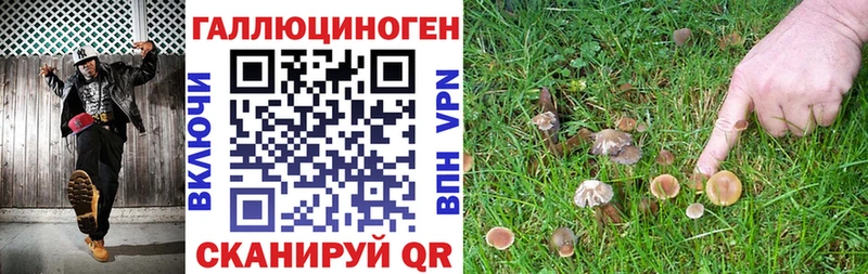 Псилоцибиновые грибы Psilocybine cubensis Беслан